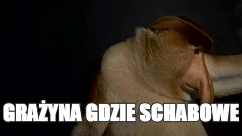 Grażyna gdzie schabowe